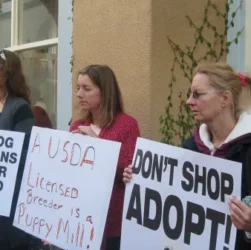 ADOPT DON'T SHOP