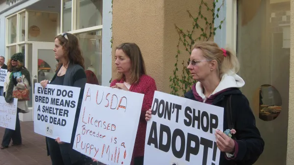 ADOPT DON'T SHOP